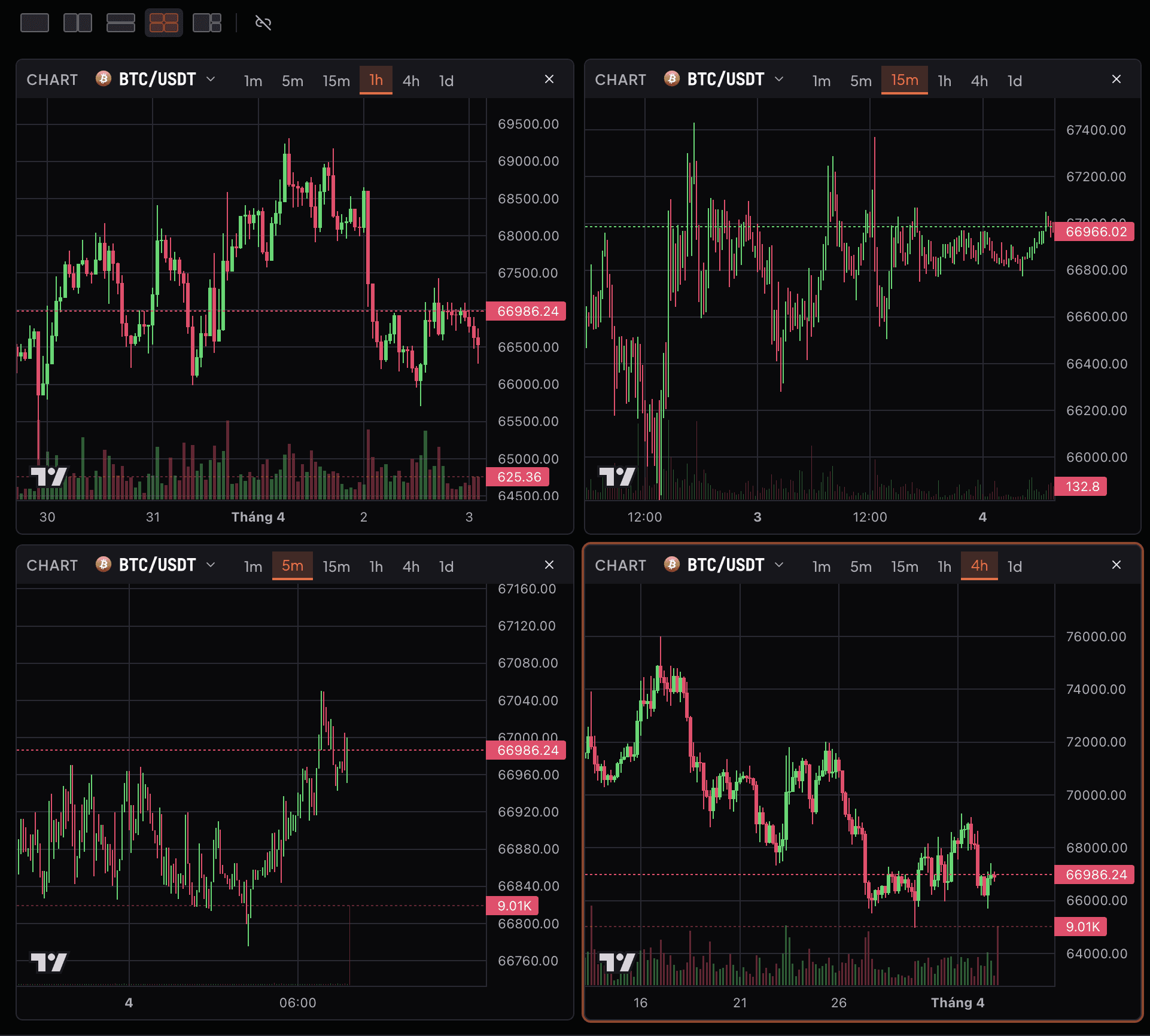 Chart panel trong terminal